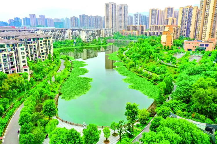 璧山61公园之城_基层动态_城市管理动态_部门动态_重庆市城市管理局